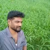 Dinesh Kumar Chittarapu