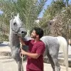 Mohamed Ehab