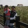 Lily Yu