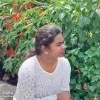 PADMA