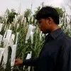 Rajeev Sharma