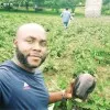 Kaumba chipewo