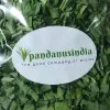 Pandanus India