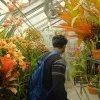 Anish Vedantham