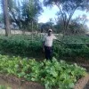 George Jongwe