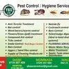 Ybs pest control