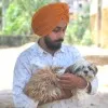 JB singh