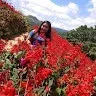 Vanessa Rose Malungas