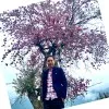 aung