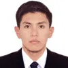 David Nelson Cama Mestanza
