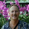 dave stine