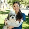 ivy tran