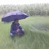 Abebe Haregewoine