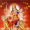 Mohan Manyam