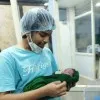 arun