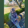 Afia Shaikh