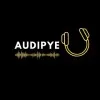 Audipye Studio