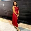 Anchal Singh Baghel