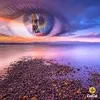 hesham hebish