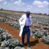 Morris Ngugi