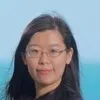 Cong Qin