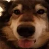 Keirra
