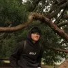 haris muhsein