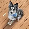 Jeffrey