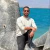 Omar Elsayed