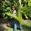 Meryem Betul Erisen