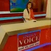 Anchor Babita