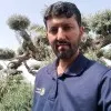Arif