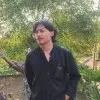 Aditya Dimas
