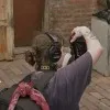 Abigael Miles