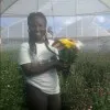Rose Wanjiku