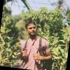 MD ISRAFIL HOSSEN