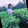 Karthika