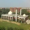 Arif Rana