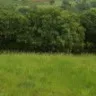 Siyabonga Vilakazi