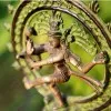 Brijesh Patel