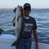 Todd Hoffman