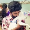 Logesh