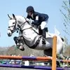 Lisa Barry
