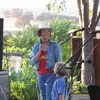 Elisabeth Demongeot