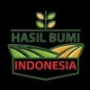 Noor Firza Ibnu Hazmin
