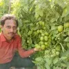 Ravi kumar