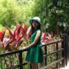 lin Alice