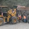 Jelly Jemsi Logahan