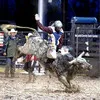 Travus Partridge