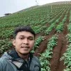 samoel farm